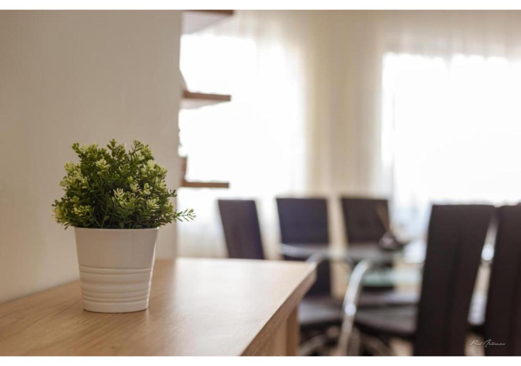 Luxury Apartment Πιτέστι Εξωτερικό φωτογραφία